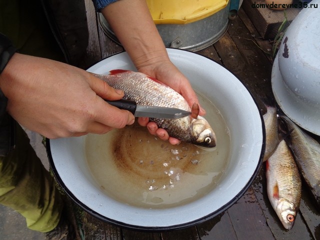 Как почистить речную рыбу от чешуи